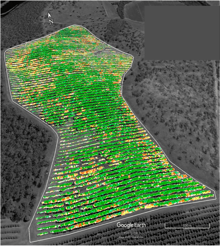 Stress severity map in orchard with PRR-ranked zones.