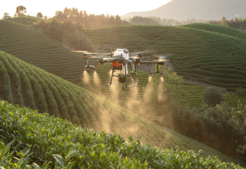 Drone applying localized treatment over terraced crops