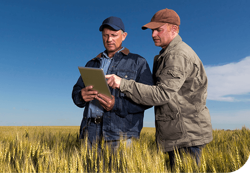 Farmers reviewing crop health maps on a tablet in the field